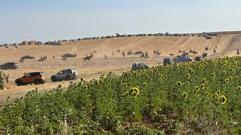 WhatsApp Image 2025-07-27 at 11.58.01