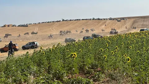 Encierro Campero El Piñero