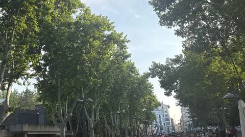 Zamora Eurocopa Femenina_12