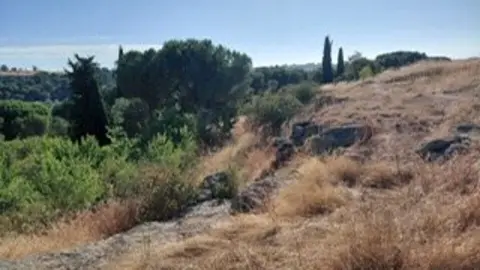 Valorio ahora decide