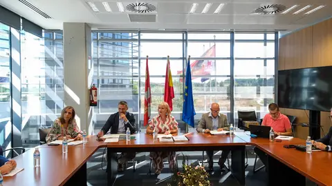 Consejo General de Empleo de Castilla y León