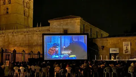 cine de verano en Zamora_5