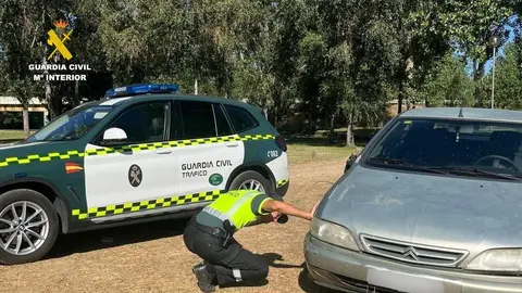 momento de la intervención en la playa fluvial de Camarzana de Tera