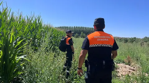 Voluntarios de Protección Civil de Zamora. imagen de archivo