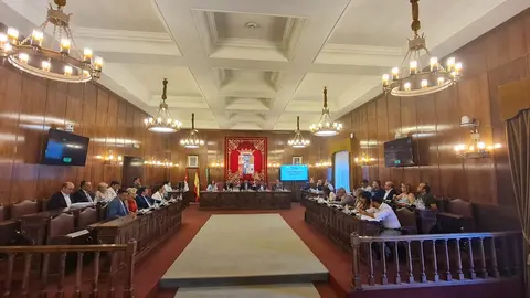 Pleno de la Diputación Provincial de Zamora