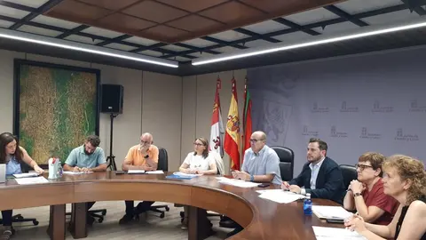 Comisión Patrimonio