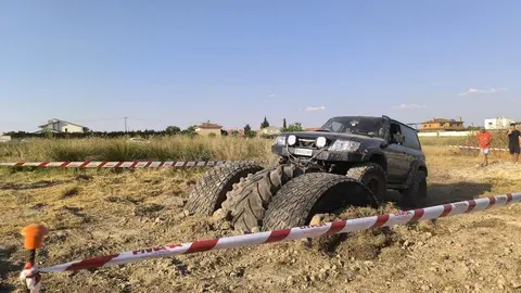 Trail roales tt_17