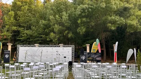 Presentación camiseta Zamora CF