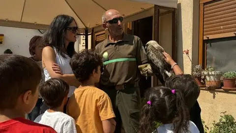 Los vecinos de Vega de Villalobos rescatan un águila calzada enferma