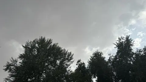 Zamora, Cielo gris