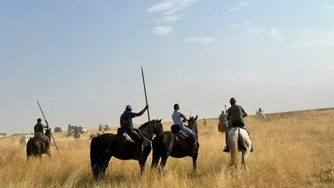 Encierro Campero Manganeses de la Lampreana