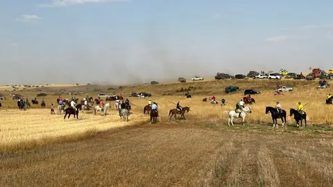 Encierro Campero Manganeses de la Lampreana_2