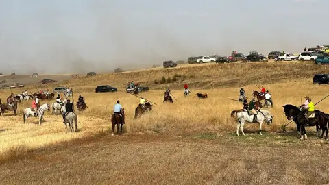 Encierro Campero Manganeses de la Lampreana_3