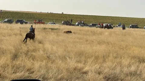 Encierro Campero Manganeses de la Lampreana_4