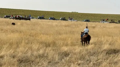 Encierro Campero Manganeses de la Lampreana_7
