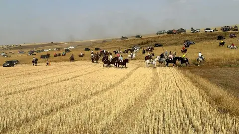 Encierro Campero Manganeses de la Lampreana_8