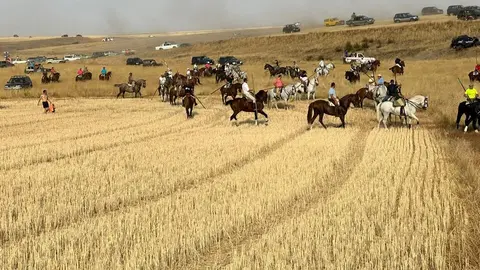 Encierro Campero Manganeses de la Lampreana_9