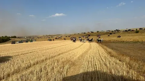 Encierro Campero Manganeses de la Lampreana_10