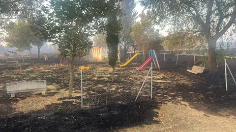 incendio Cubo de Benavente, Morezuela de la Carballeda. IMAGEN DIPUTACIÓNZA (5)