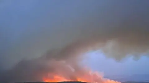 Ecologistas Zamora , incendio