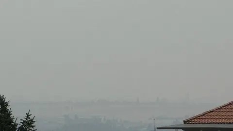 calima incendio en Zamora _2