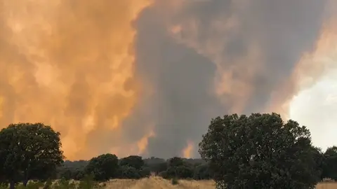 Incendio Molezuelas de la Carballeda_1