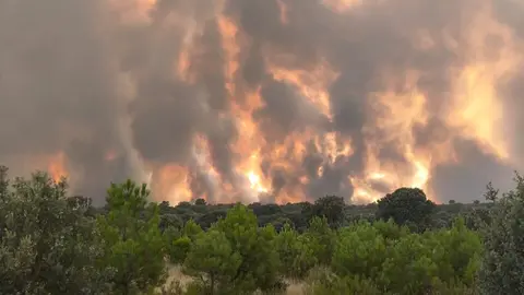 incendio Molezuelas de la Carballeda_4