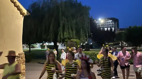 desfile de disfraces en Pozuelo de Vidriales (12)