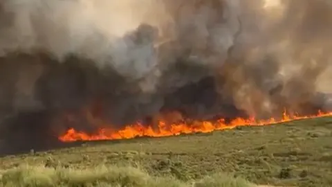 incendio Puercas