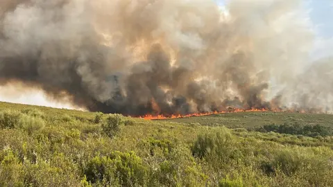 incendio Puercas (1)