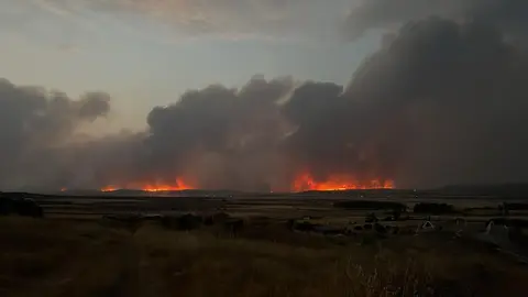 incendio La Carballeda  (2)