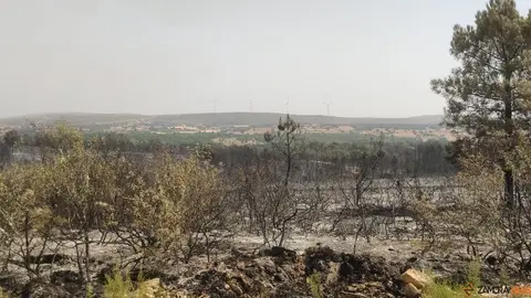 La UME actúa frente a los incendios que asolan Zamora