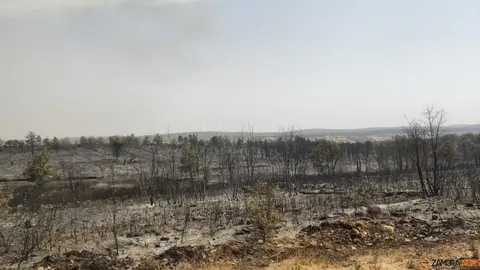 La UME actúa frente a los incendios que asolan Zamora