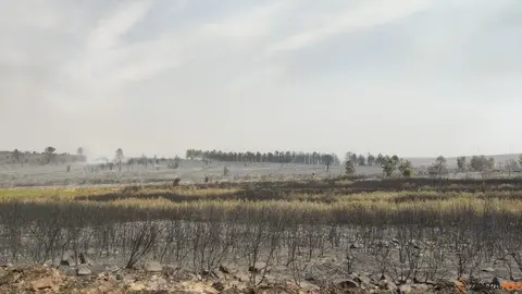 La UME actúa frente a los incendios que asolan Zamora