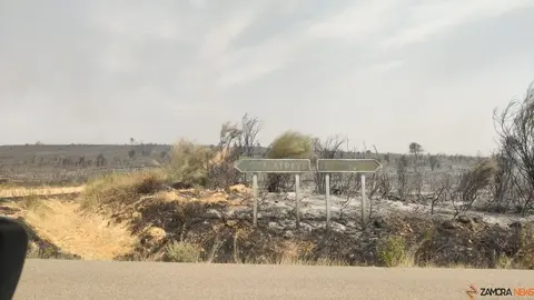 La UME actúa frente a los incendios que asolan Zamora