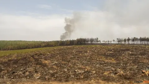 La UME actúa frente a los incendios que asolan Zamora