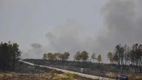 fuego puercas vegalatrave losacio_14
