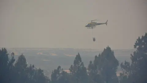 fuego puercas vegalatrave losacio_50