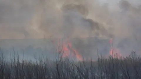 fuego puercas vegalatrave losacio_54