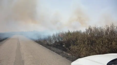 fuego puercas vegalatrave losacio_71