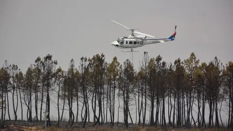 fuego puercas vegalatrave losacio_122
