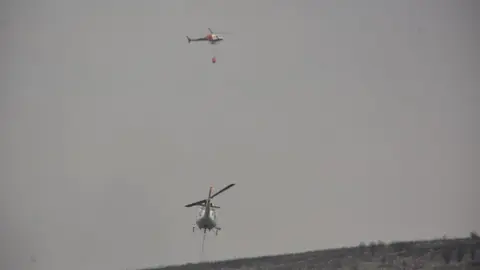 fuego puercas vegalatrave losacio_171
