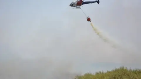 fuego puercas vegalatrave losacio_211