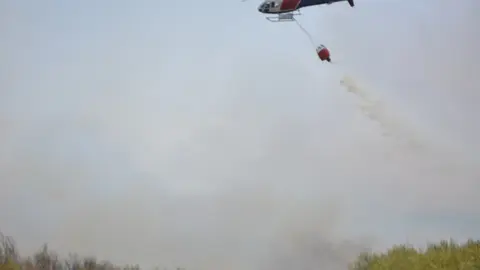 fuego puercas vegalatrave losacio_212