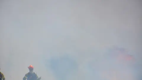 fuego puercas vegalatrave losacio_231