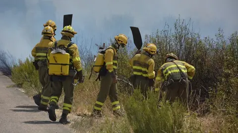 fuego puercas vegalatrave losacio_261