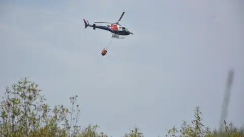 fuego puercas vegalatrave losacio_265