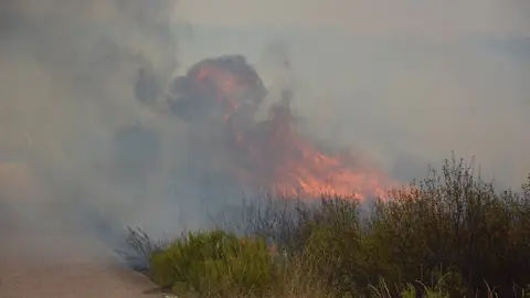 fuego puercas vegalatrave losacio_266