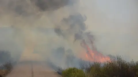 fuego puercas vegalatrave losacio_268