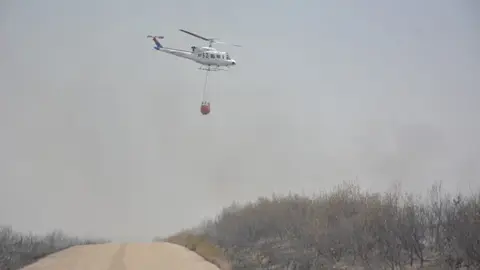 fuego puercas vegalatrave losacio_290